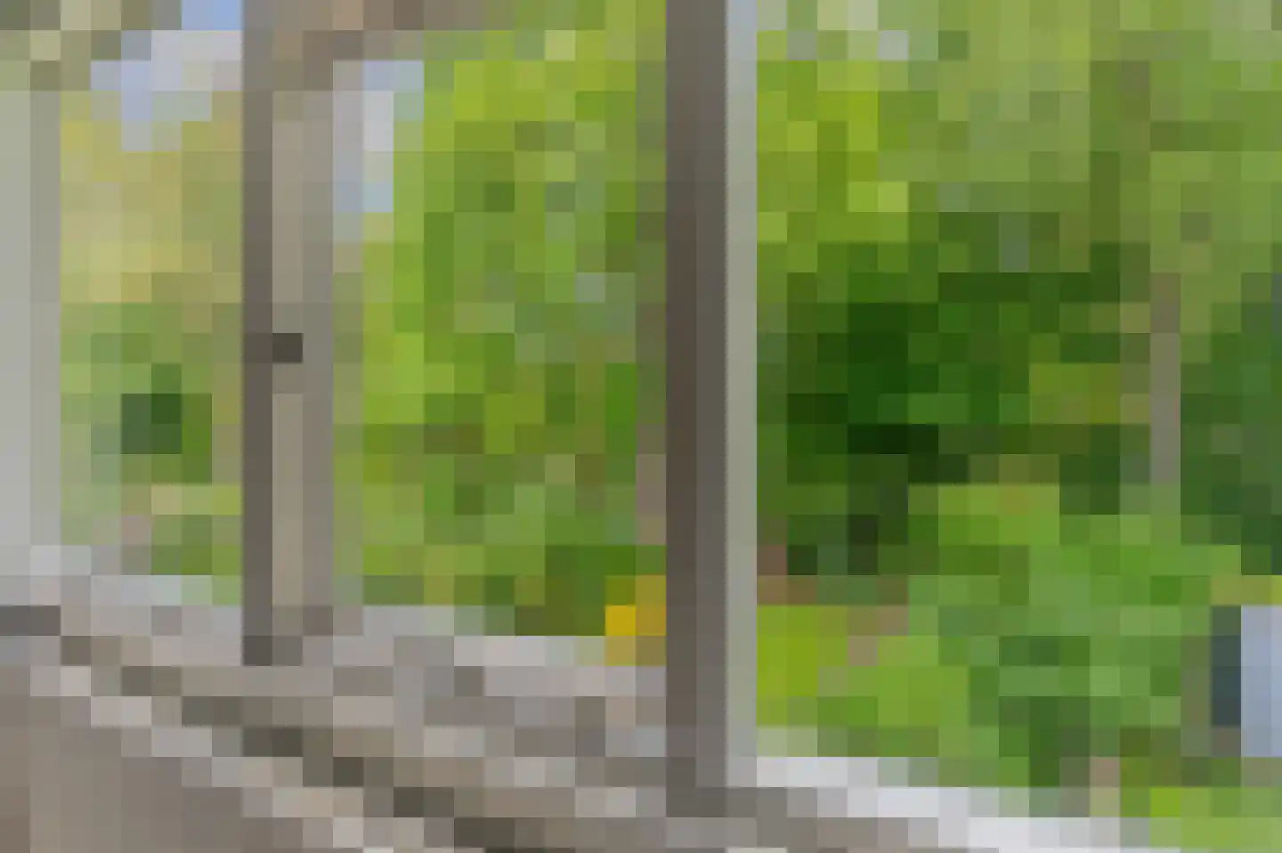 Sloep 53 Groningen thumbnail 31