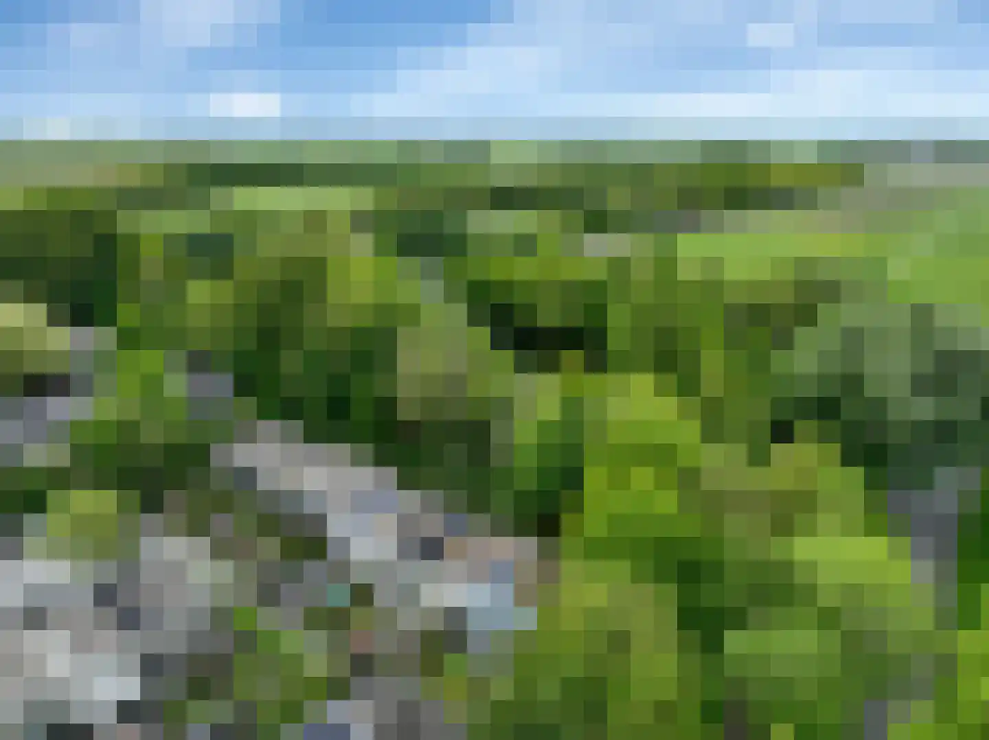Sloep 53 Groningen thumbnail 4