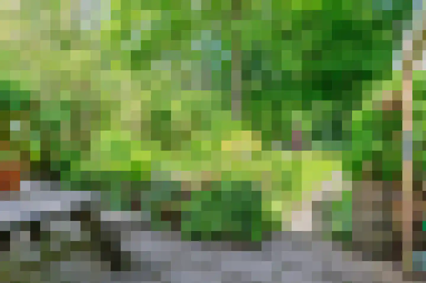 Sloep 53 Groningen thumbnail 41