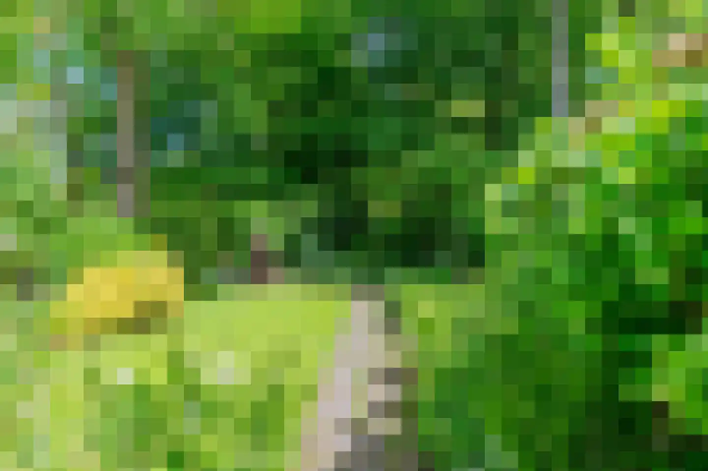 Sloep 53 Groningen thumbnail 43