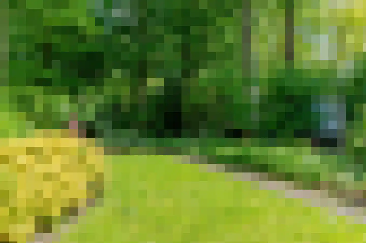 Sloep 53 Groningen thumbnail 44