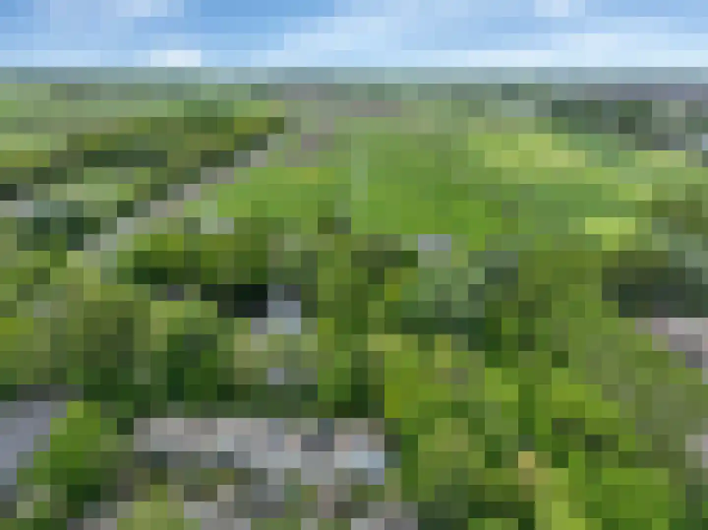 Sloep 53 Groningen thumbnail 5