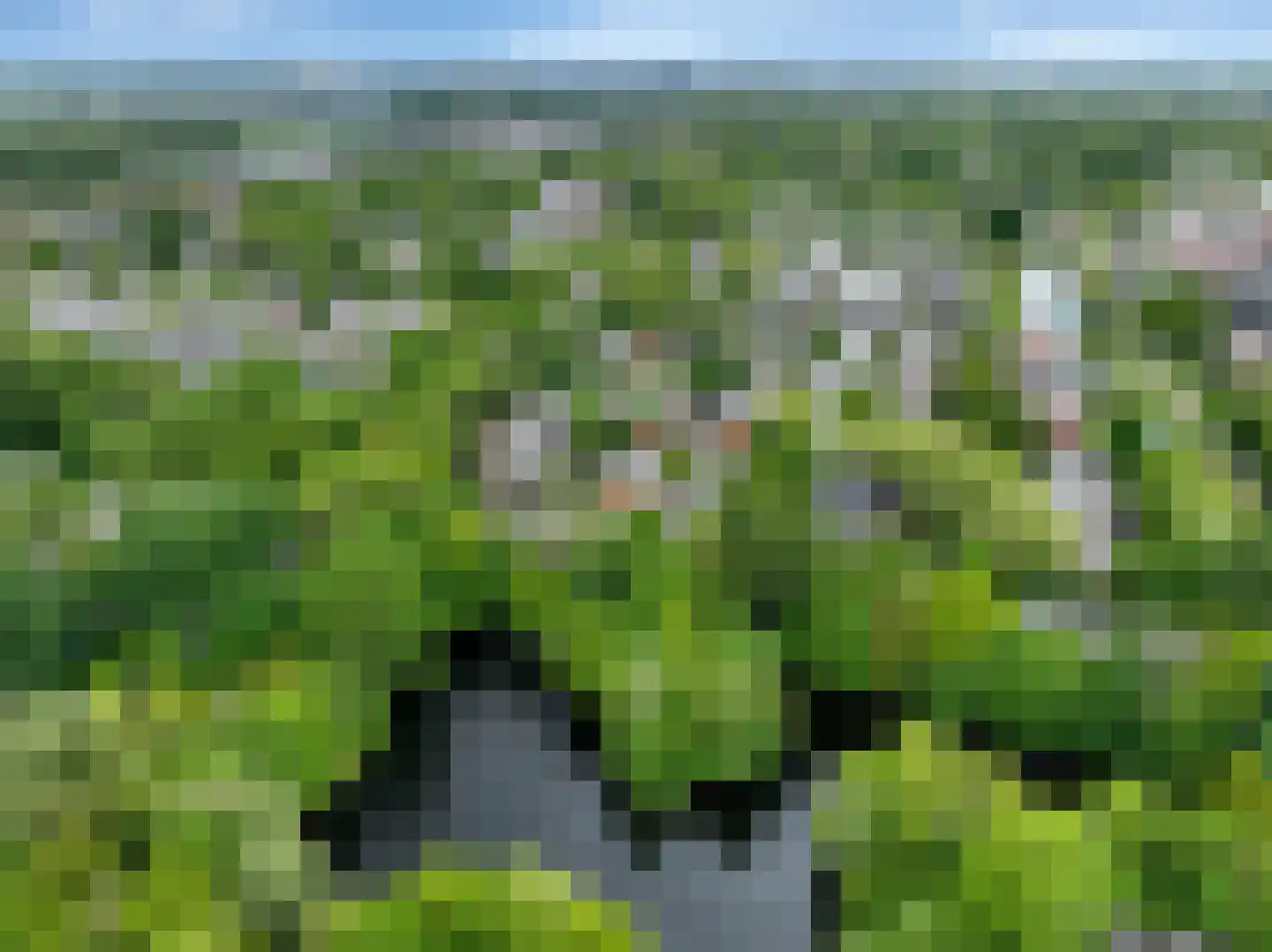 Sloep 53 Groningen thumbnail 56