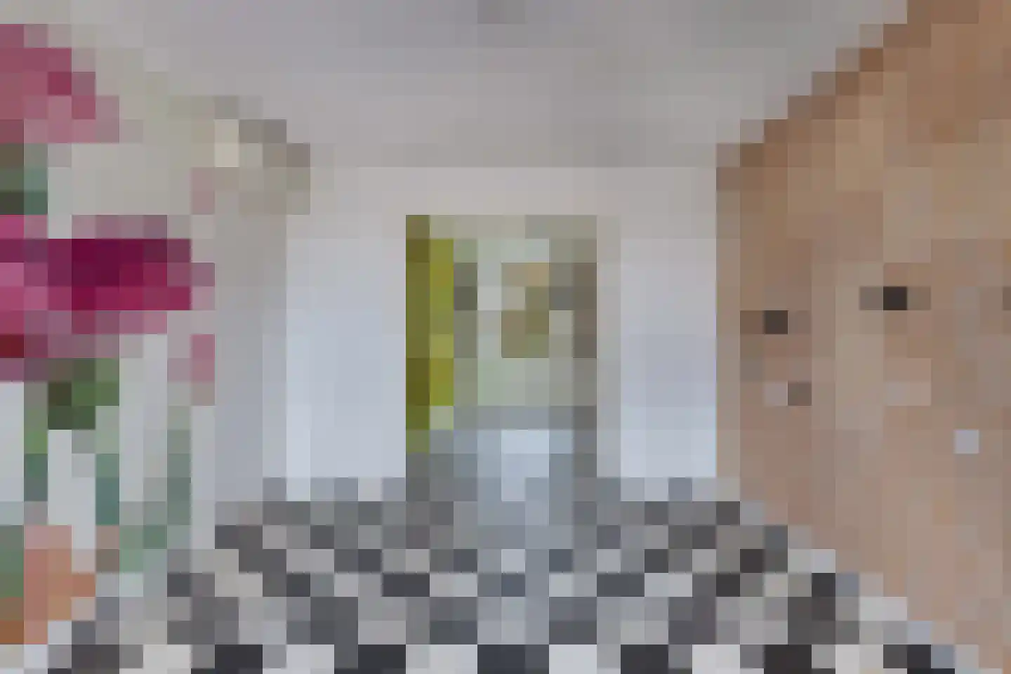 Sloep 56 Huizen thumbnail 19