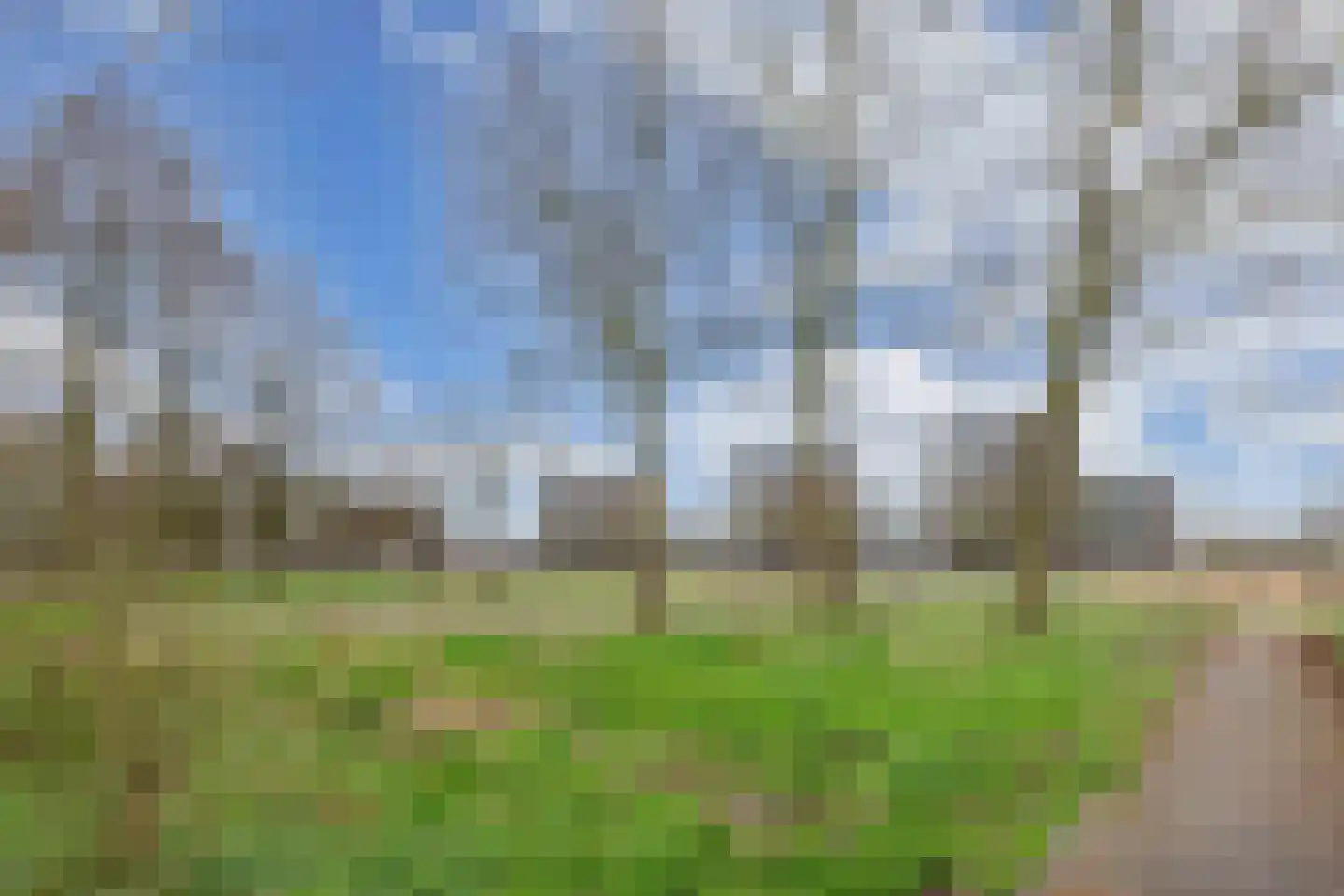 Sloep 56 Huizen thumbnail 28