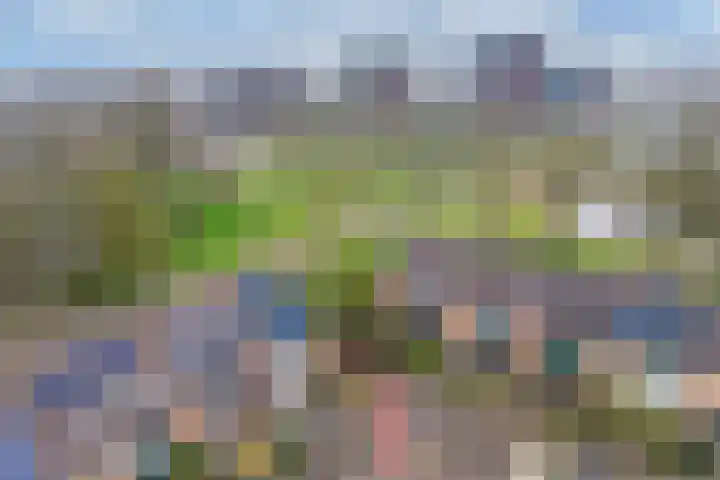Sloep 56 Huizen thumbnail 29