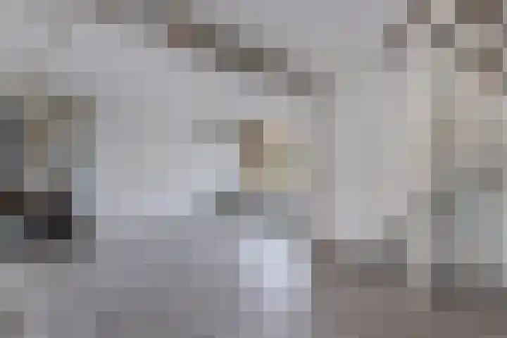 Sloep 56 Huizen thumbnail 4