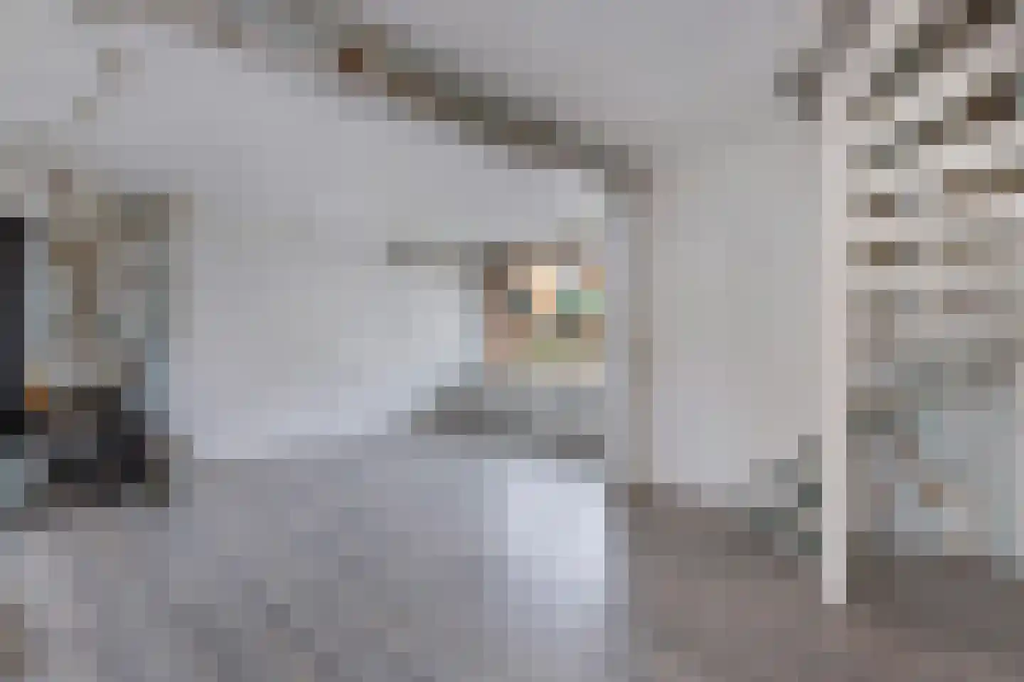 Sloep 56 Huizen thumbnail 4