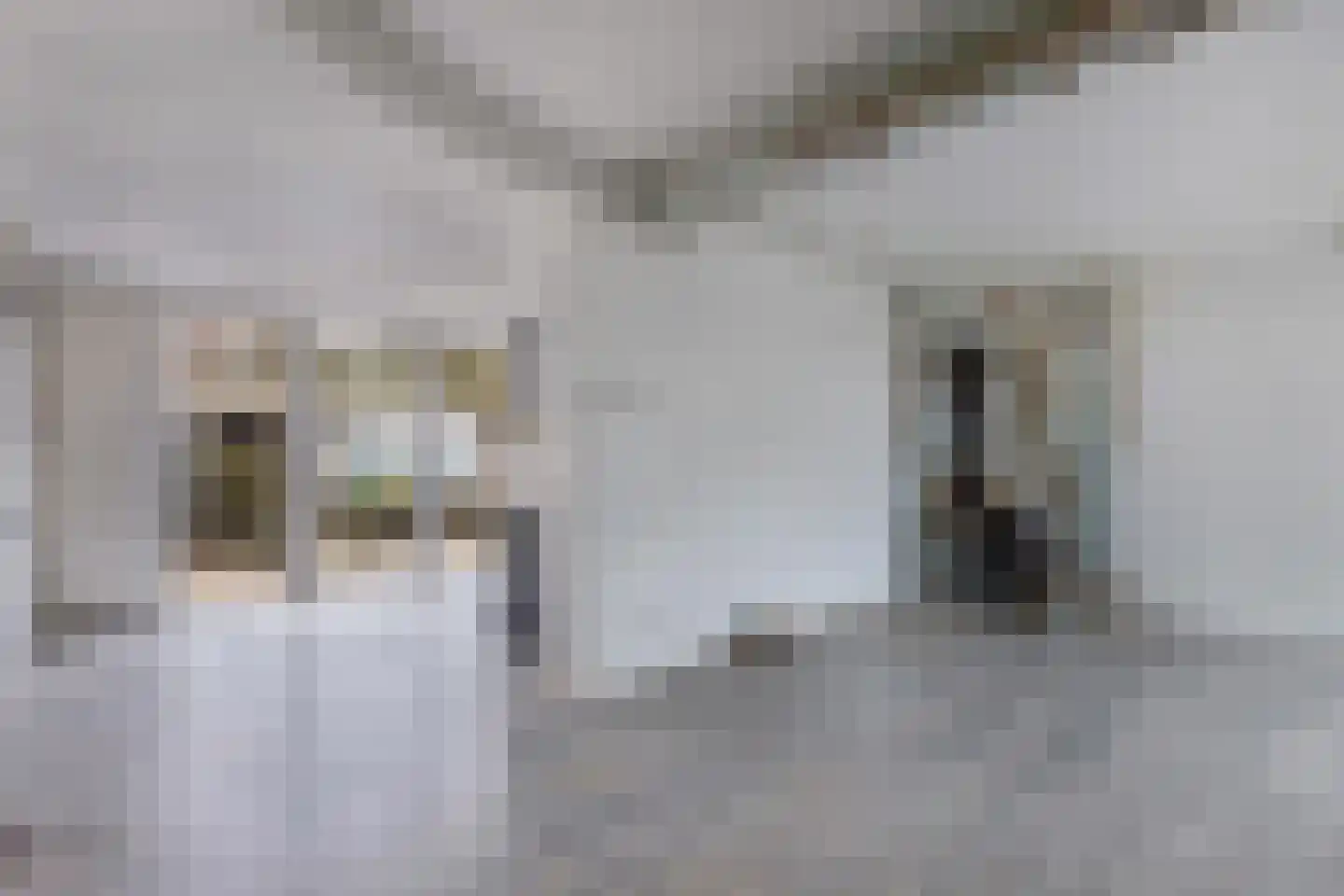 Sloep 56 Huizen thumbnail 7
