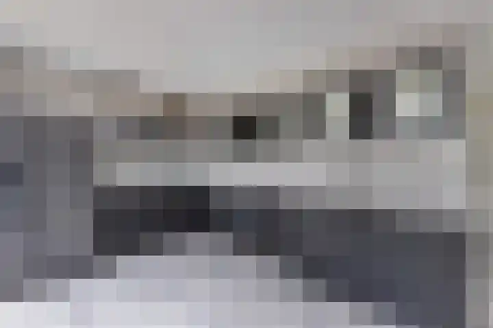 Sloep 56 Huizen thumbnail 8