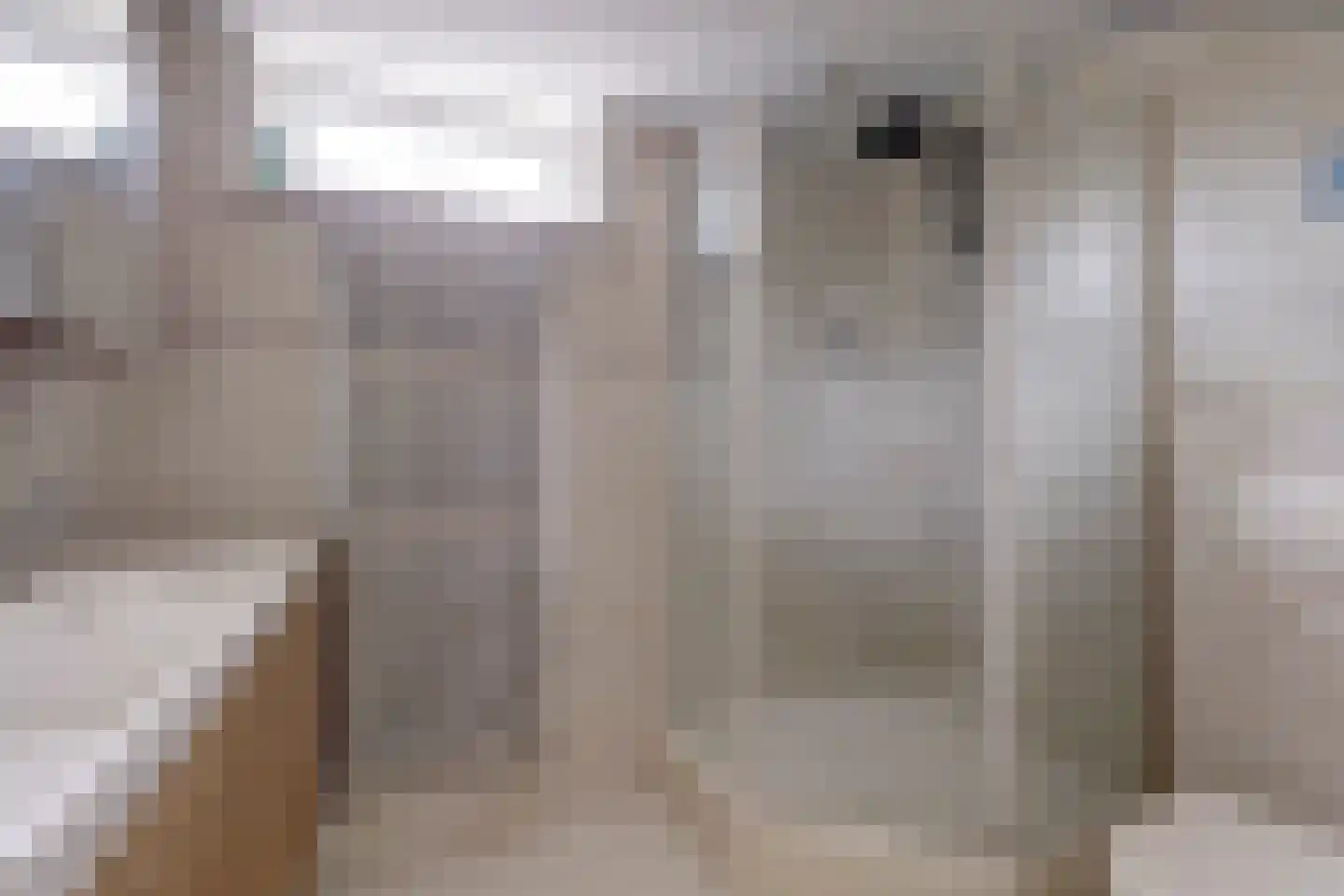 Sloep 74 Huizen thumbnail 17