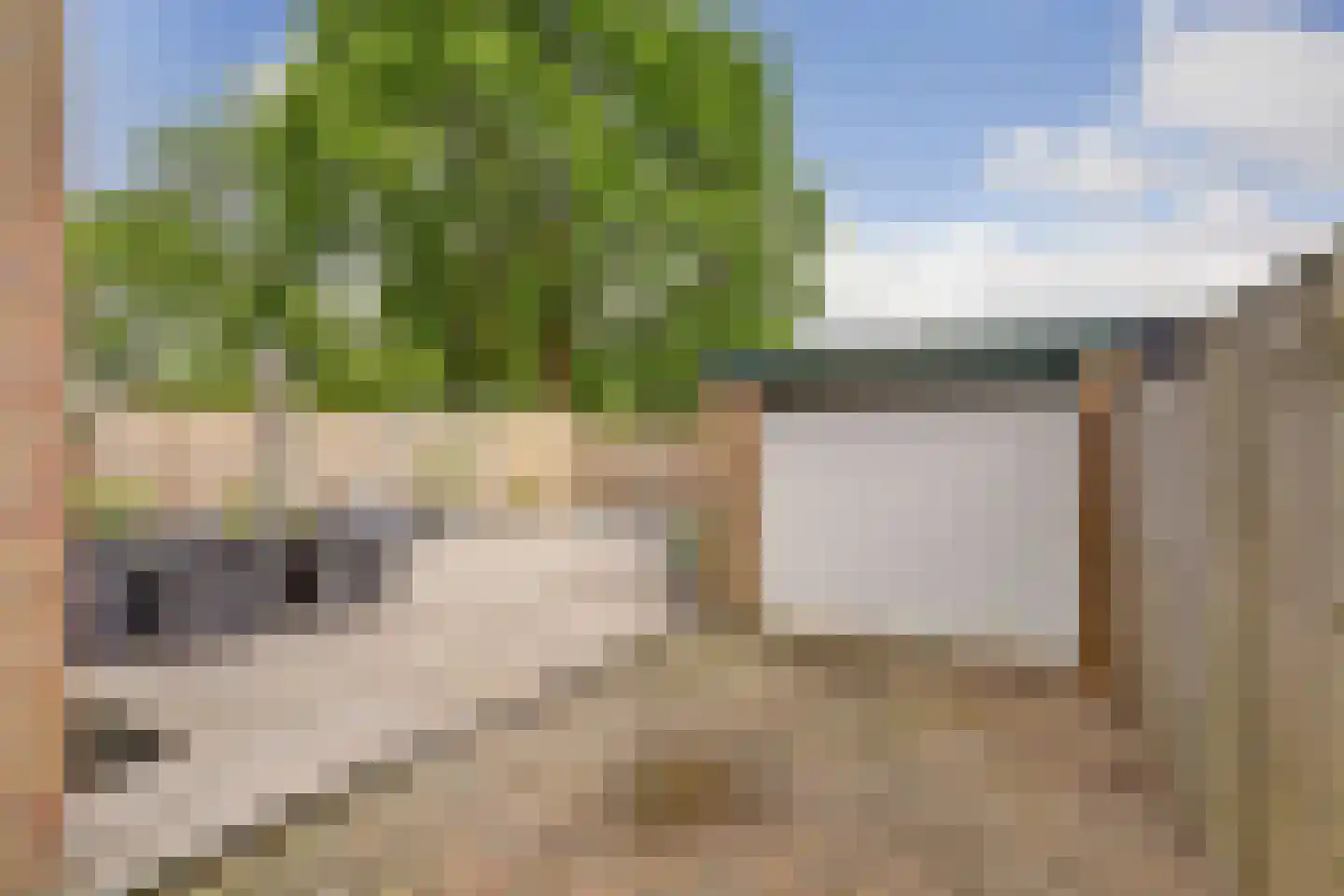 Sloep 74 Huizen thumbnail 26