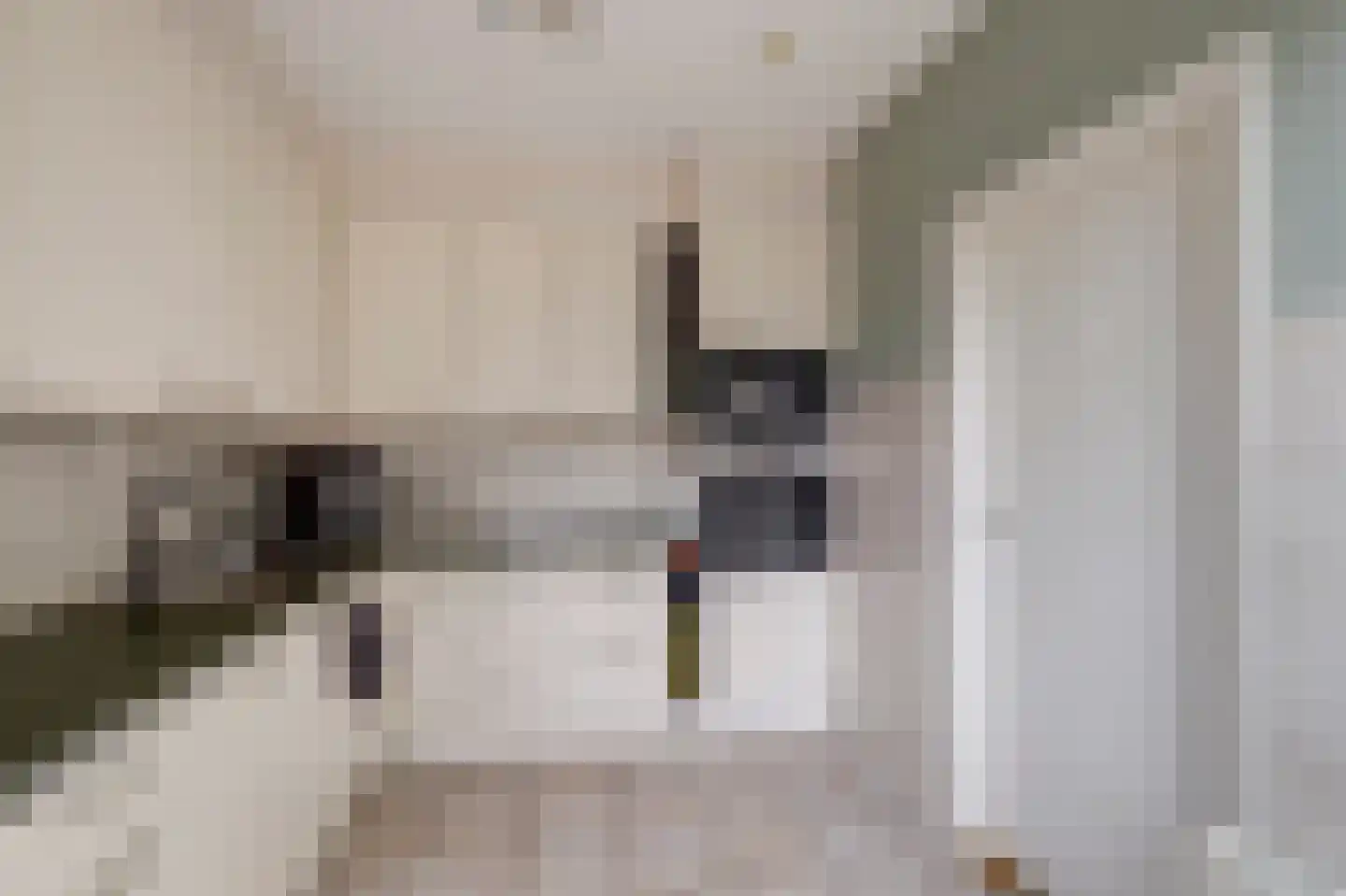 Sloep 74 Huizen thumbnail 9