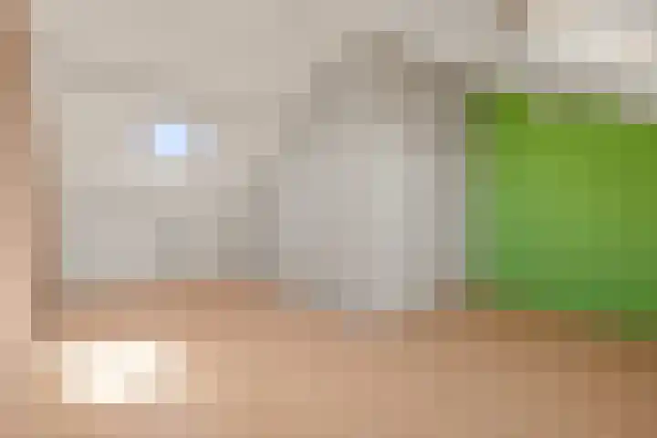 Sloep 8 Woerden thumbnail 25