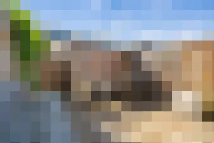 Sloep 8 Woerden thumbnail 29