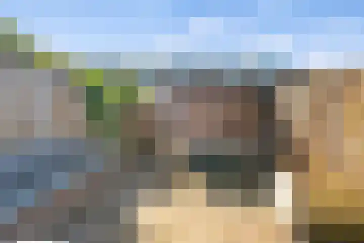 Sloep 8 Woerden thumbnail 30