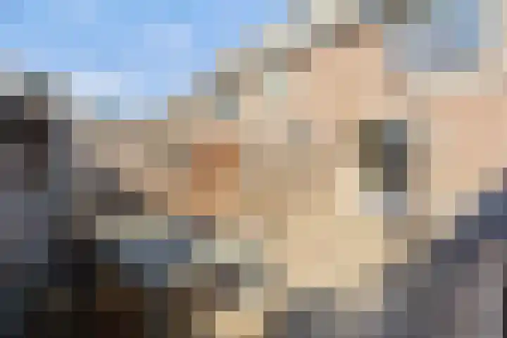 Sloep 8 Woerden thumbnail 31
