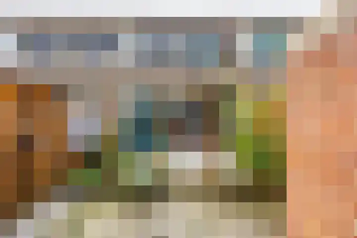 Sloep 81 Groningen thumbnail 19