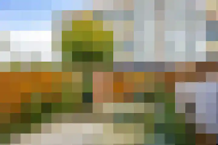 Sloep 81 Groningen thumbnail 20
