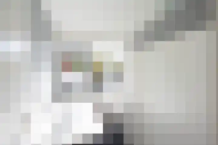 Sloep 81 Groningen thumbnail 26
