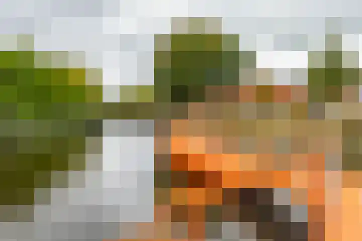 Sloep 81 Groningen thumbnail 38