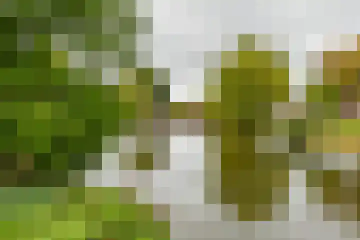 Sloep 81 Groningen thumbnail 39