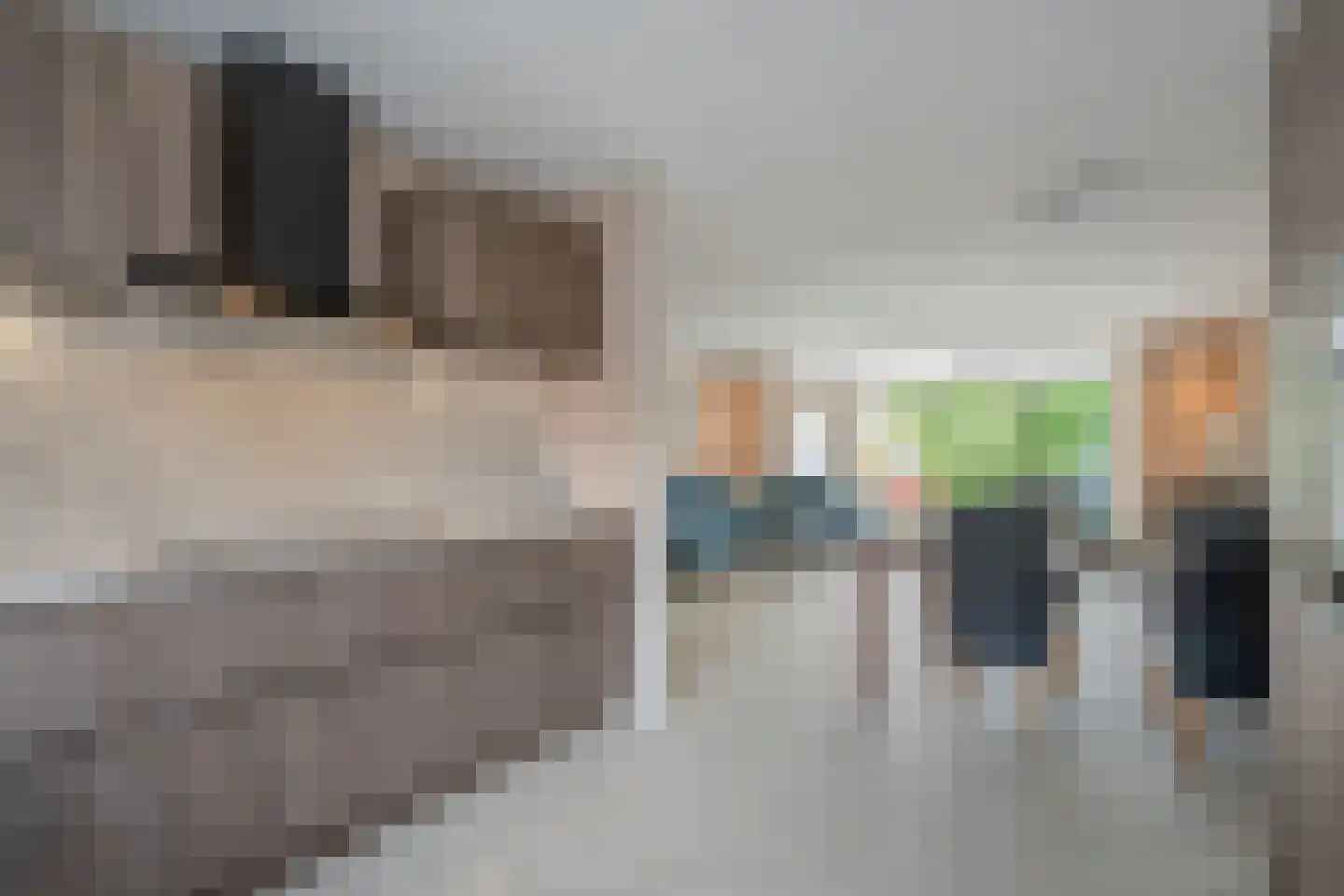 Sloepkade 18 Zoetermeer thumbnail 18