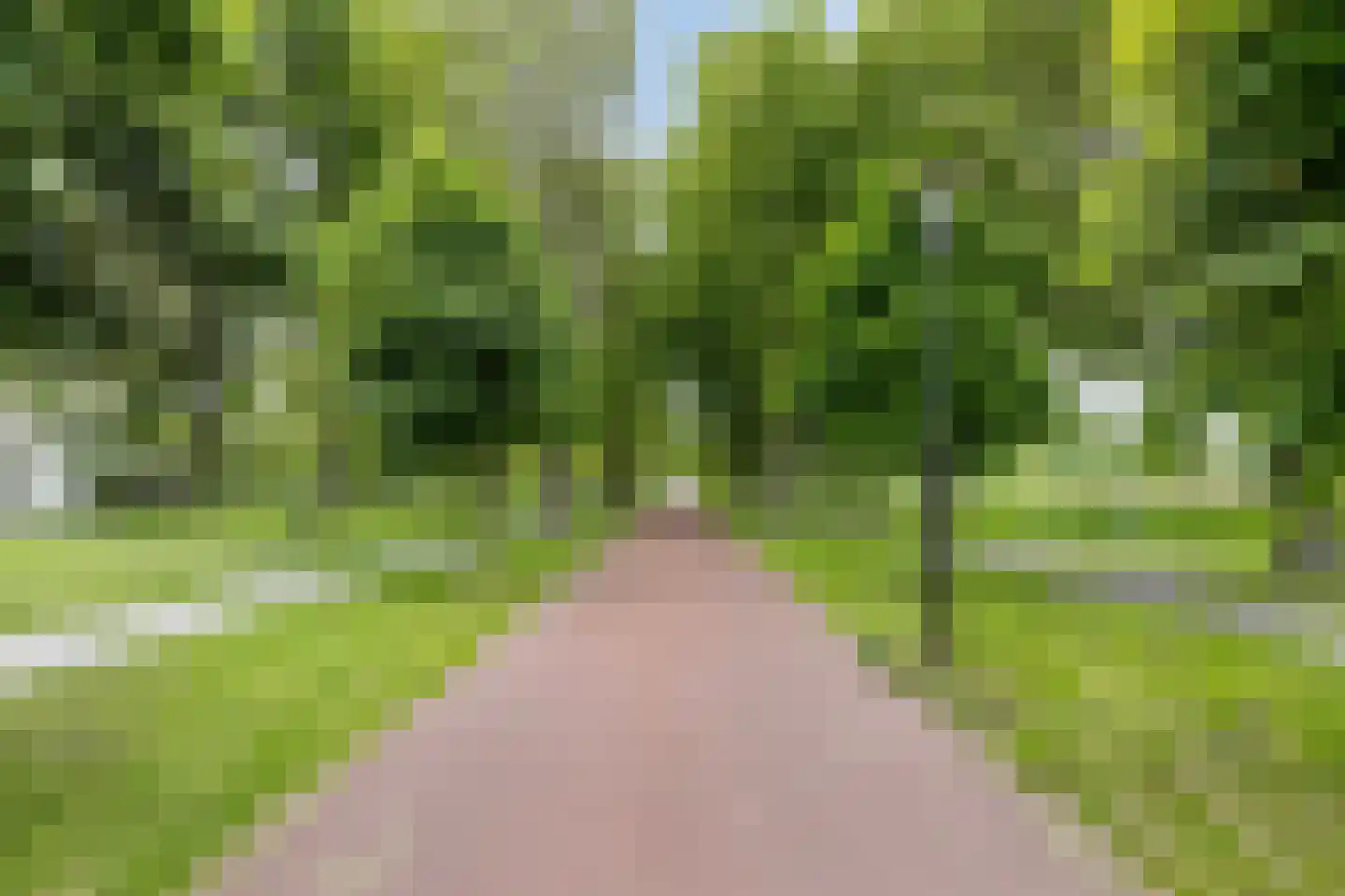 Sloepstraat 31 Zaandam thumbnail 39