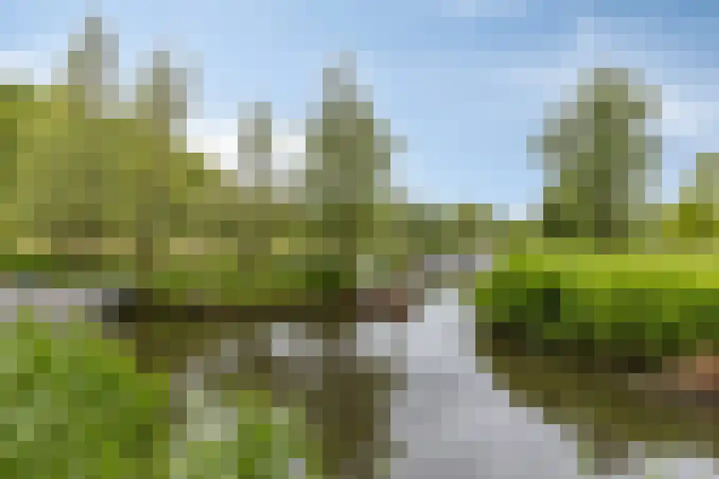 Sloepstraat 31 Zaandam thumbnail 41