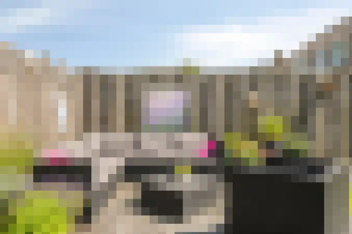 Sloestraat 14 Zoutelande thumbnail 21