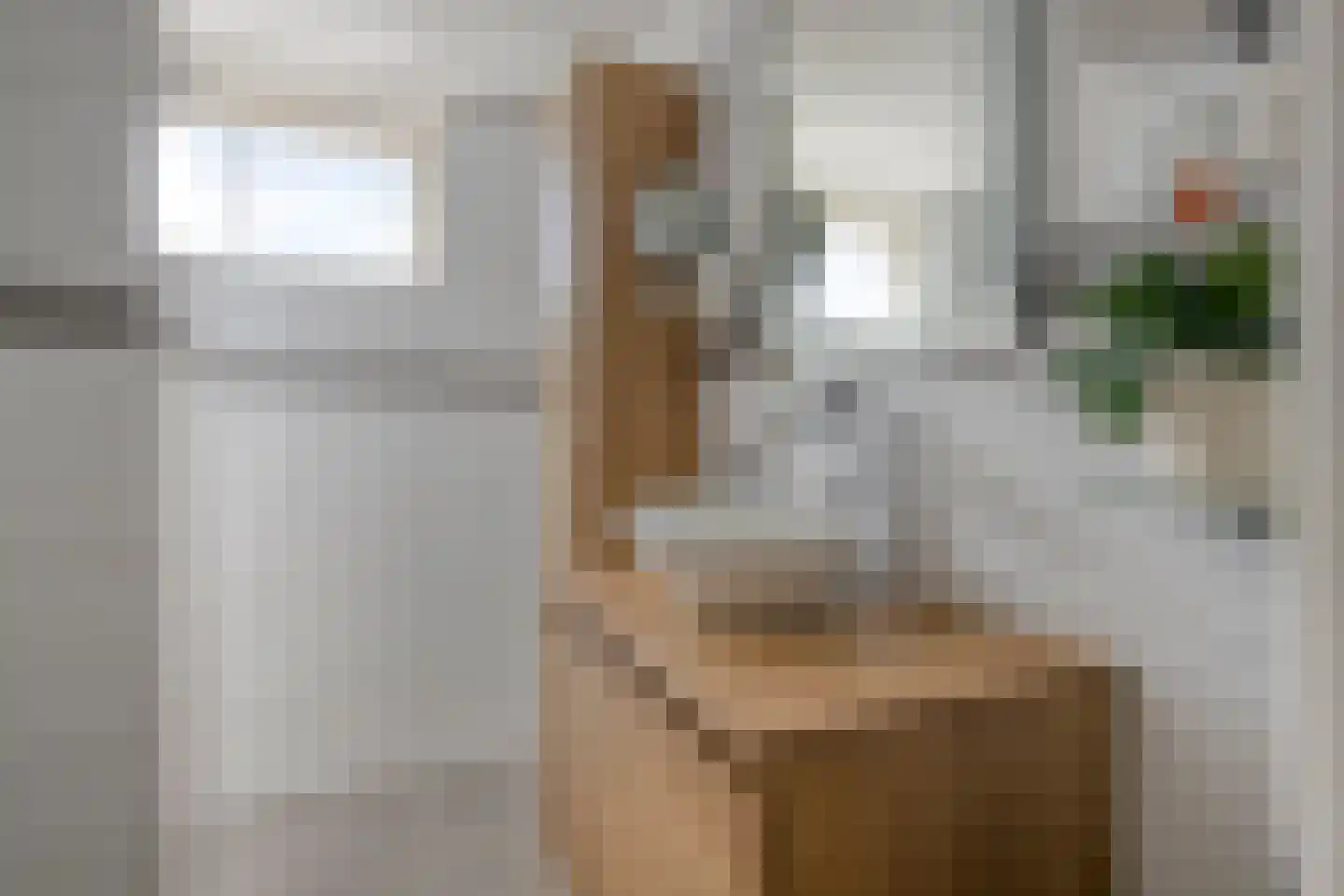 Sloestraat 14 Zoutelande thumbnail 30