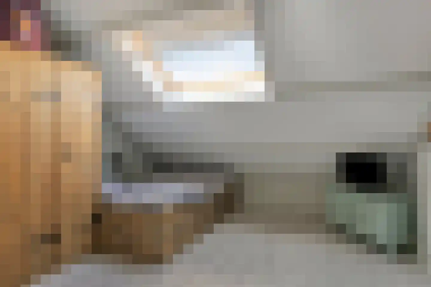 Sloestraat 14 Zoutelande thumbnail 34