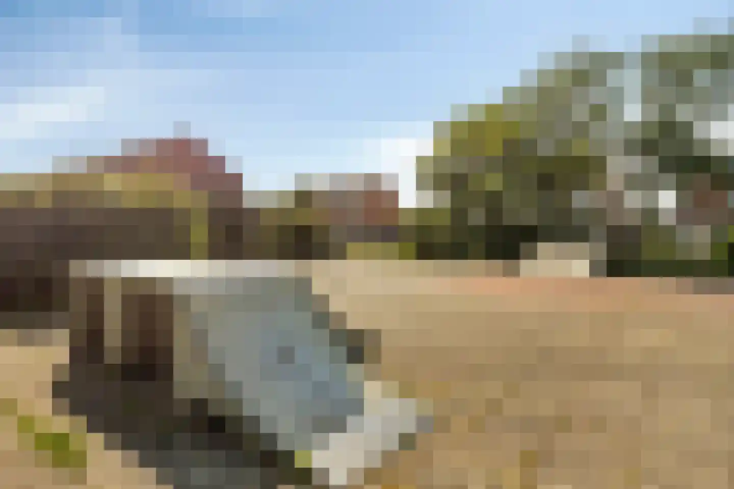 Sloestraat 14 Zoutelande thumbnail 39