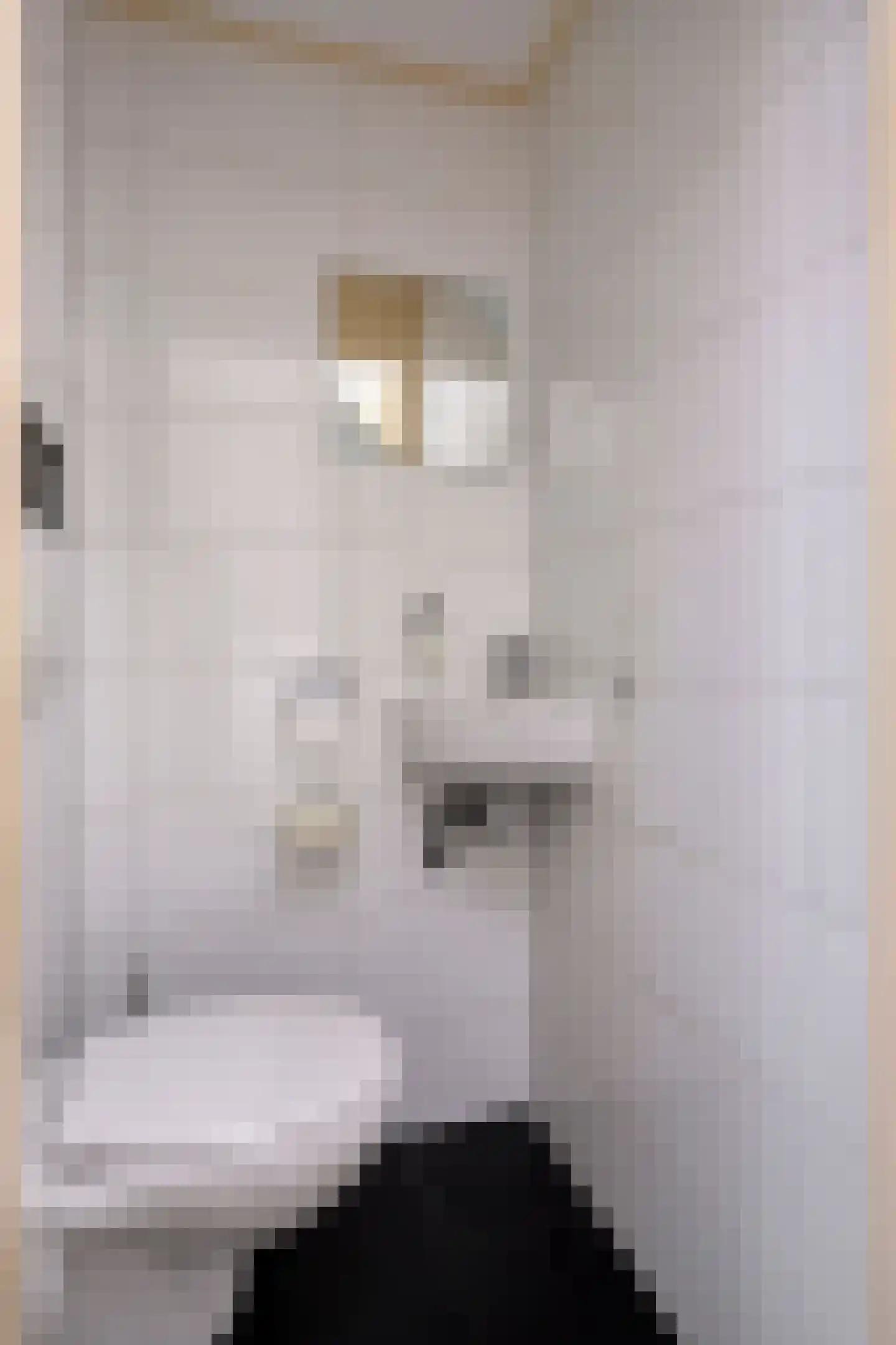 Sloestraat 14 Zoutelande thumbnail 9