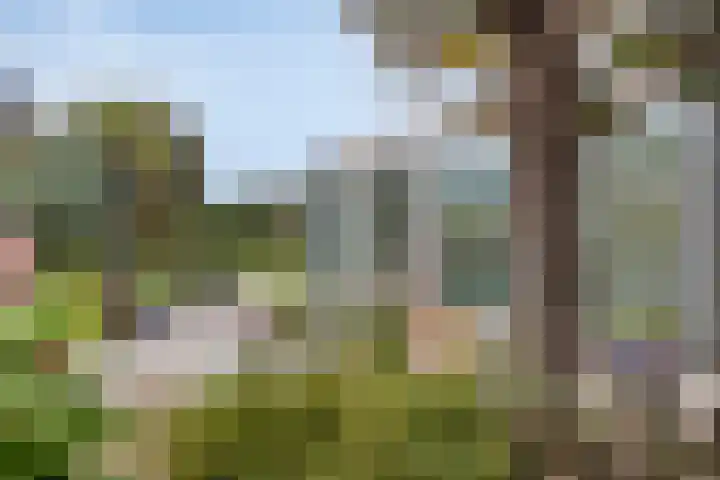Sloestraat 15 Zoutelande thumbnail 28