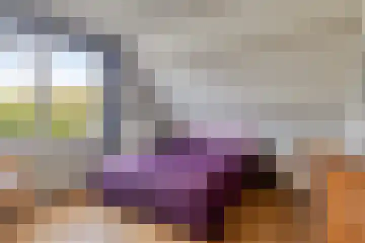 Sloestraat 15 Zoutelande thumbnail 8