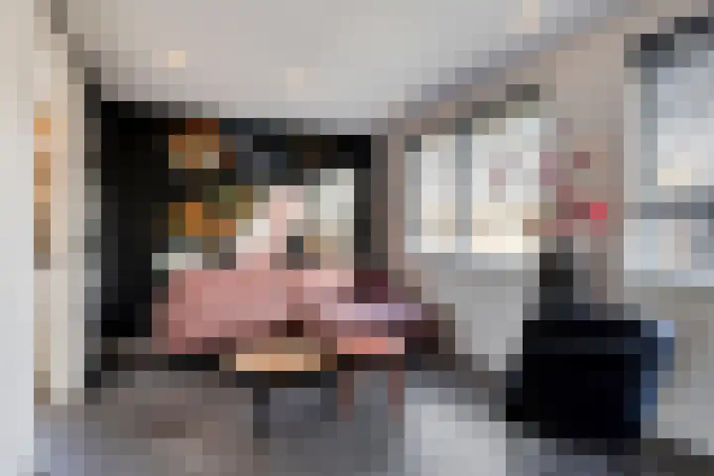 Sloestraat 17 Hansweert thumbnail 11