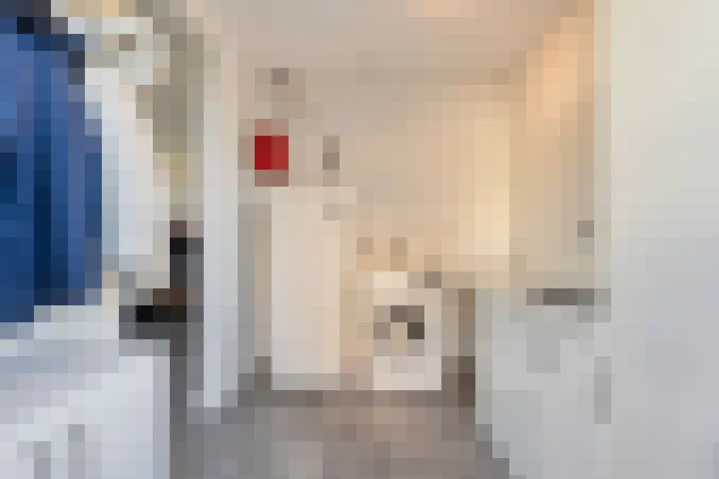 Sloestraat 17 Hansweert thumbnail 16