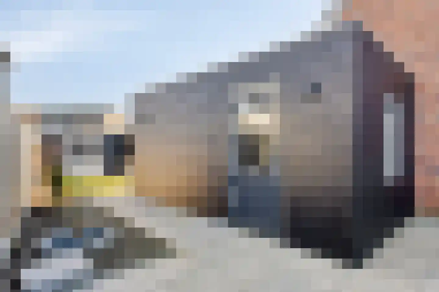 Sloestraat 17 Hansweert thumbnail 20