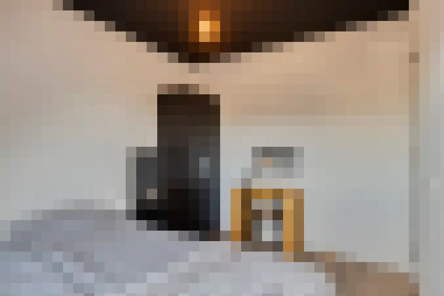 Sloestraat 17 Hansweert thumbnail 34