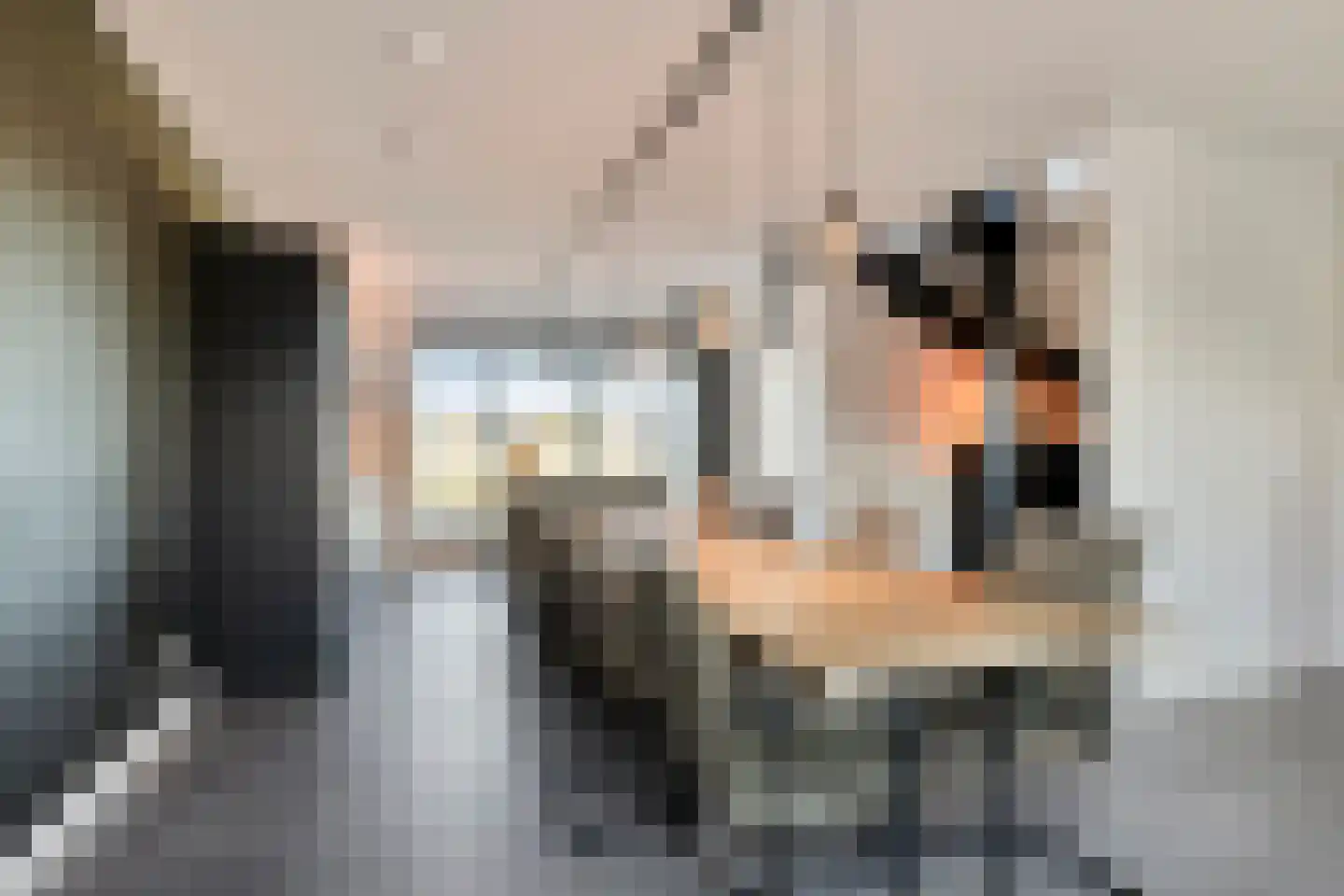 Sloestraat 17 Hansweert thumbnail 9
