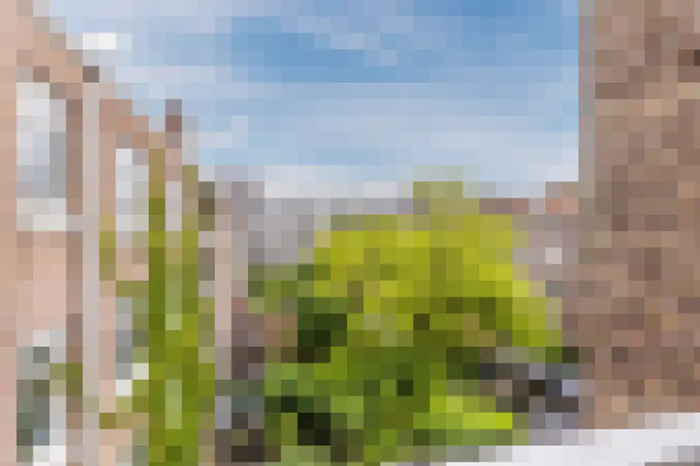 Sloestraat 3 3 Amsterdam thumbnail 21