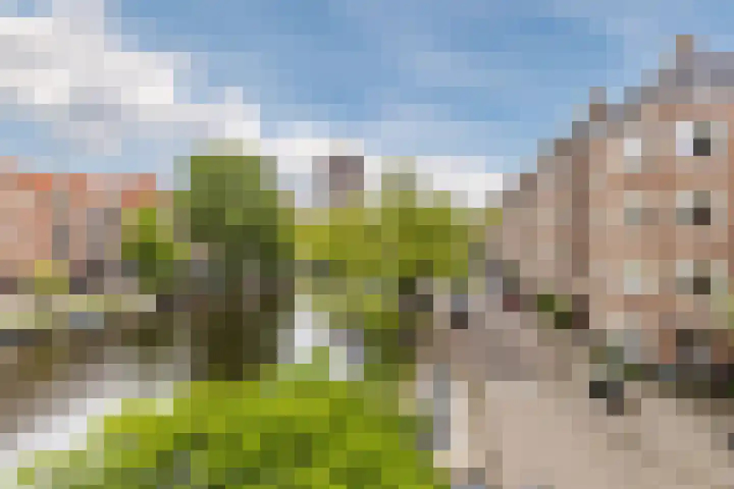 Sloestraat 3 3 Amsterdam thumbnail 44