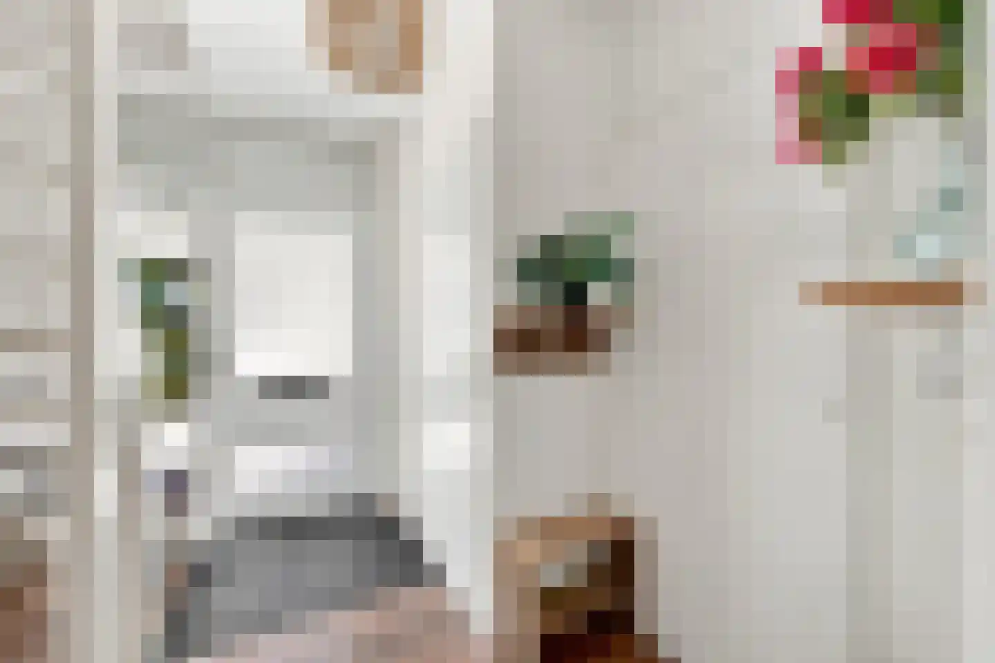 Sloestraat 34 Zoutelande thumbnail 6