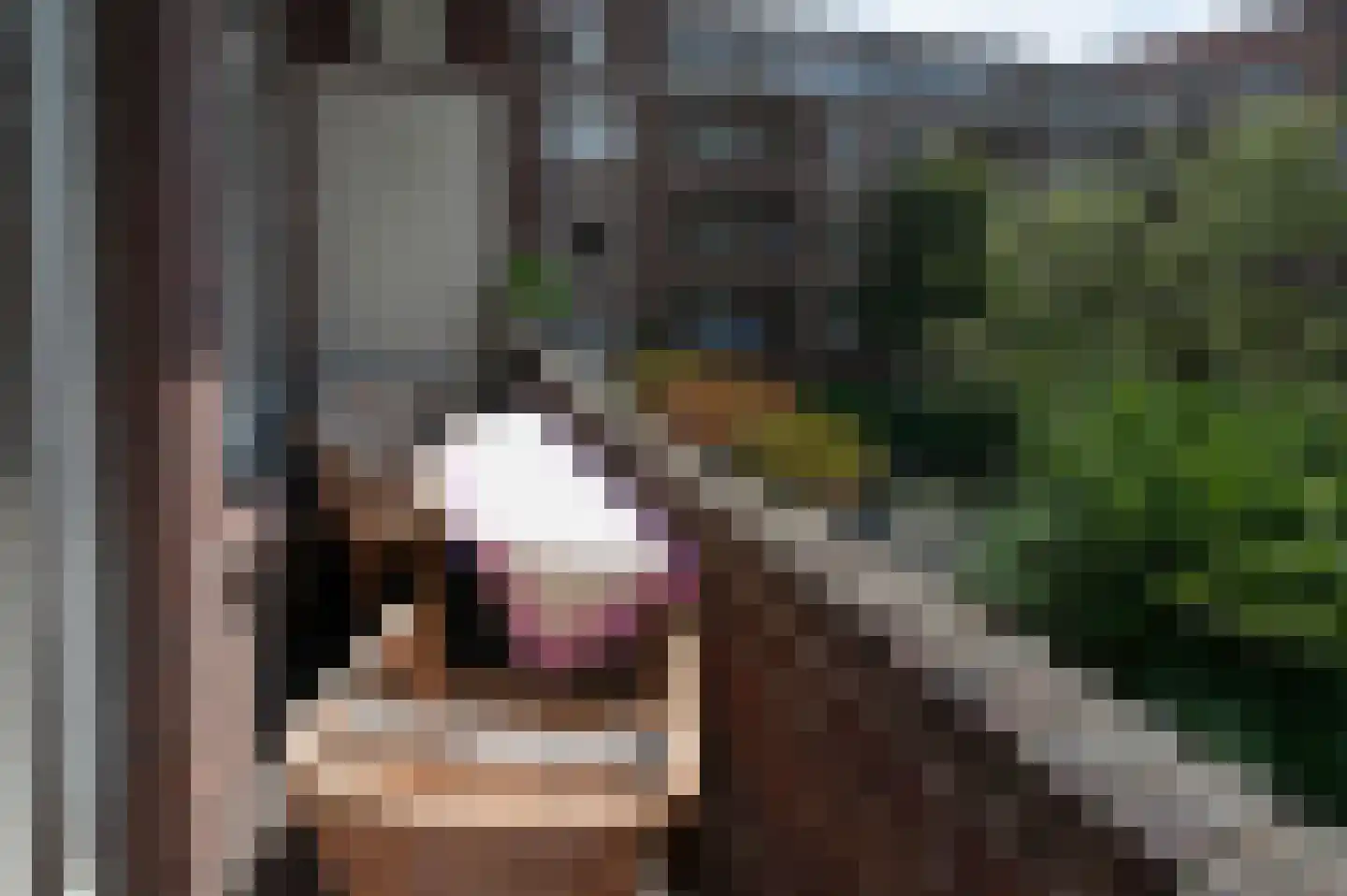Sloestraat 8 2 Amsterdam thumbnail 16