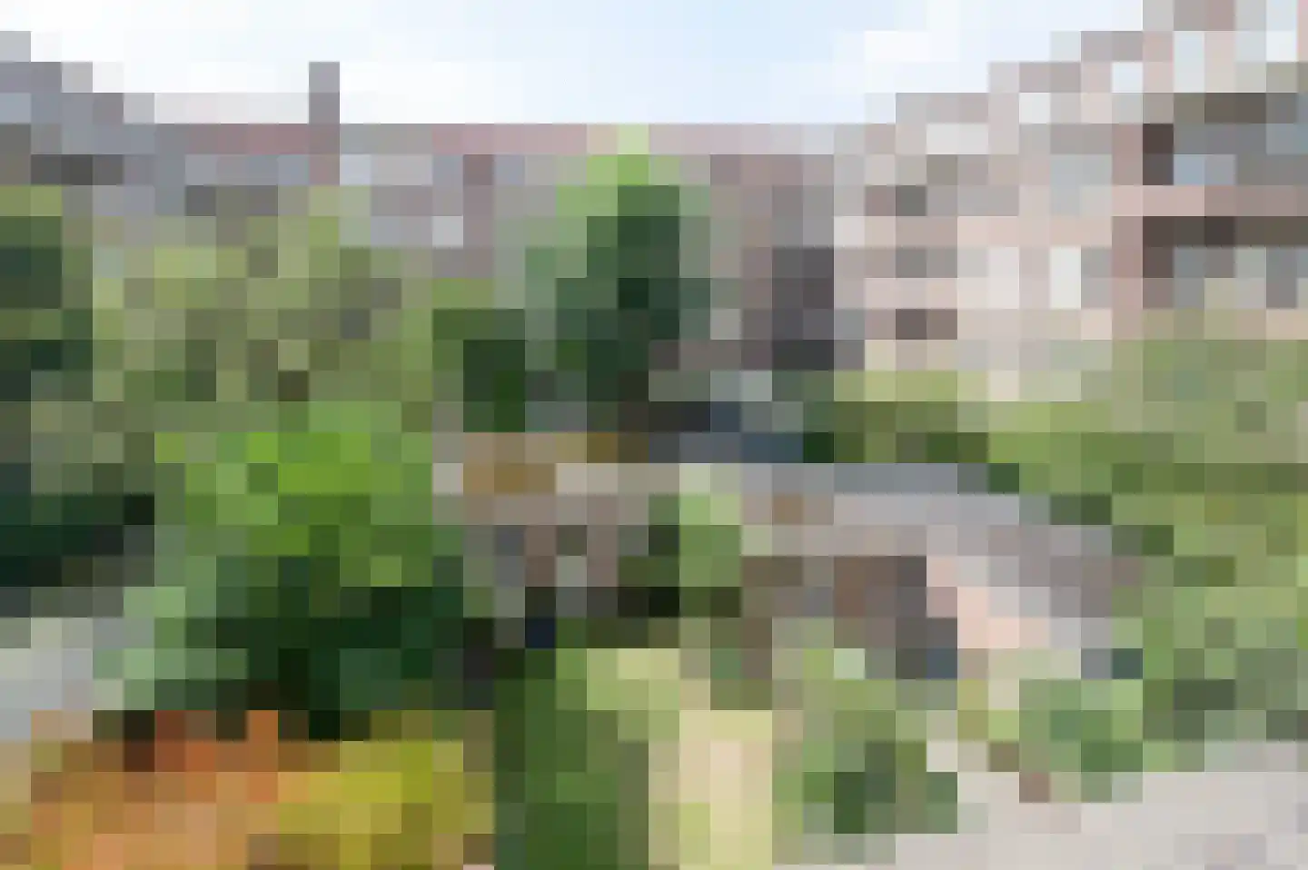 Sloestraat 8 2 Amsterdam thumbnail 17