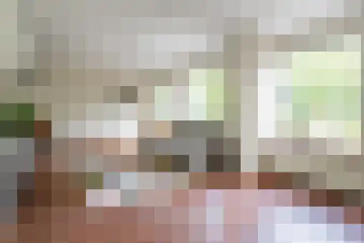 Sloetmarke 15 Zwolle thumbnail 10