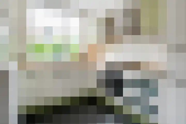 Sloetmarke 15 Zwolle thumbnail 14