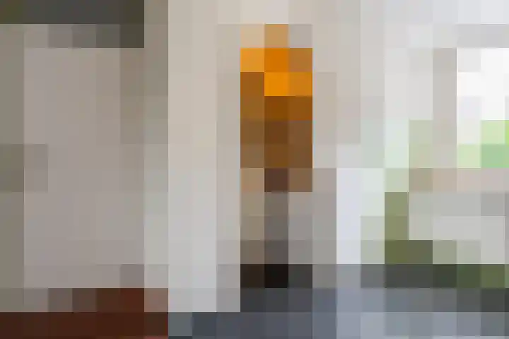Sloetmarke 15 Zwolle thumbnail 16