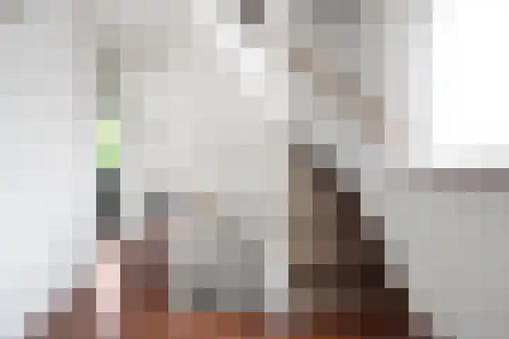 Sloetmarke 15 Zwolle thumbnail 20